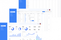 SAAS BASED HEALTHCARE REVENUE CYCLE MANAGEMENT