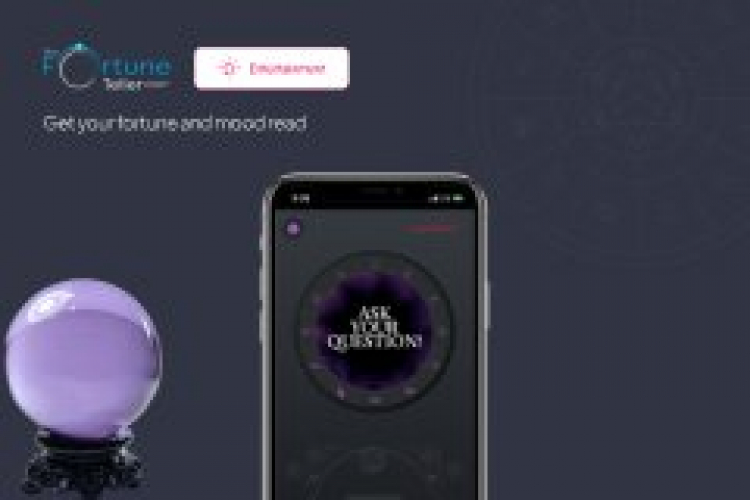The Fortune Teller screenshot 1
