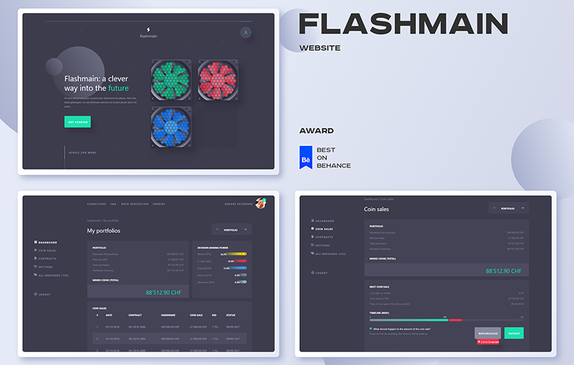 Flashmain screenshot 1