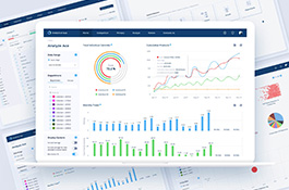 Enterprise Analytical SaaS
