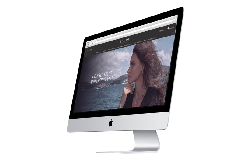 Upgrading from a limiting proprietary platform to Magento 2 screenshot 5