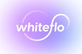 WhiteFlo- platform for operations with crypto