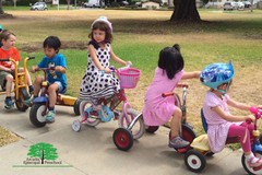 Arcadia Episcopal Preschool – Educational Website Design & Development