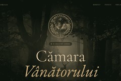 Branding and Website