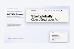 LATYNEX Company — Corporate Services & Research Web Platform
