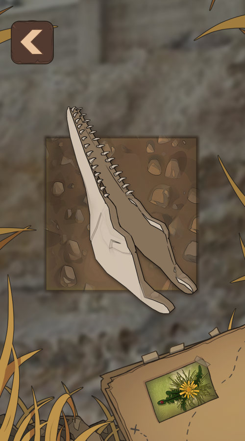 Fossil Discovery Adventure screenshot 6