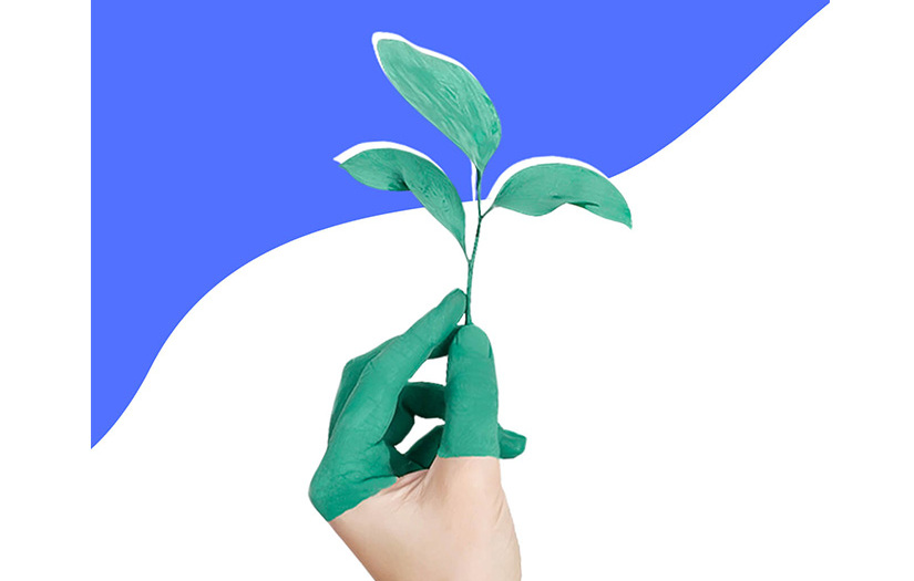 3WM Coin Case screenshot 1