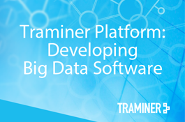 Traminer Platform: Developing Big Data Software