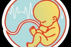 Narenultrasound
