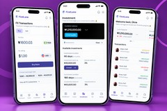 Financial Service Web Application (Loans Investment and FX)