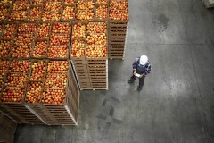 Inteligistics – Cold-Chain Temperature Monitoring