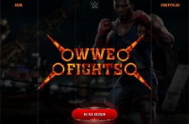 WWE Fights