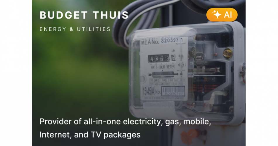 Budget Thuis screenshot 1