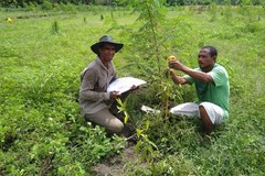 ACIAR: rewriting a fellowship impact report