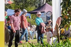 Experience Orange: relaunching a council community event