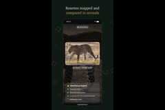 LeopardID: AI leopard identification for Sri Lankan national parks