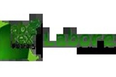 Laborex — Website & Online Order System