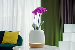 KORU: a smart planter and air purifier, engineered around a living plant