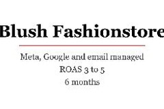 Blush Fashionstore Meta, Google and email growth