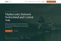 BS Partners: market entry consultancy website on our platform