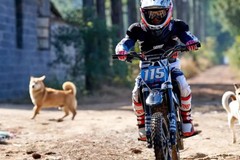 Minimoto Website Development