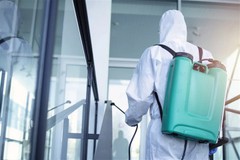 Pest Services Website Development