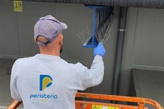Peristeria Stop Website Development