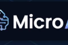 Micro AI website