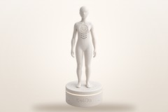 Voice AI Figurine on Raspberry Pi