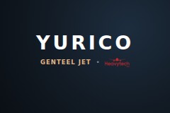 YURICO — Digital Ecosystem for an International Aviation Holding