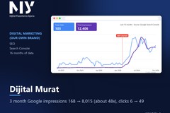 Dijital Murat SEO: About 48x Google Impressions