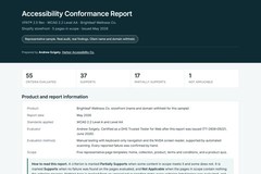 VPAT example: a complete Accessibility Conformance Report