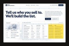 Native Business Solutions — website