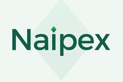 Naipex, website and visual identity for a tax advisory firm