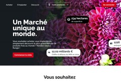 Rédaction de fiches produits et d'articles SEO pour le Marché de Rungis