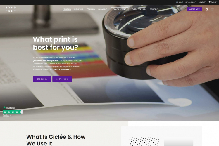 Beyond Print screenshot 1