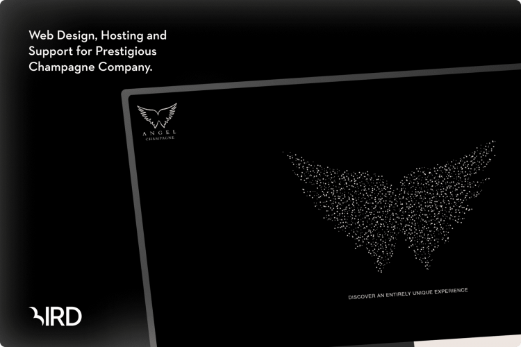 Angel Champagne screenshot 2