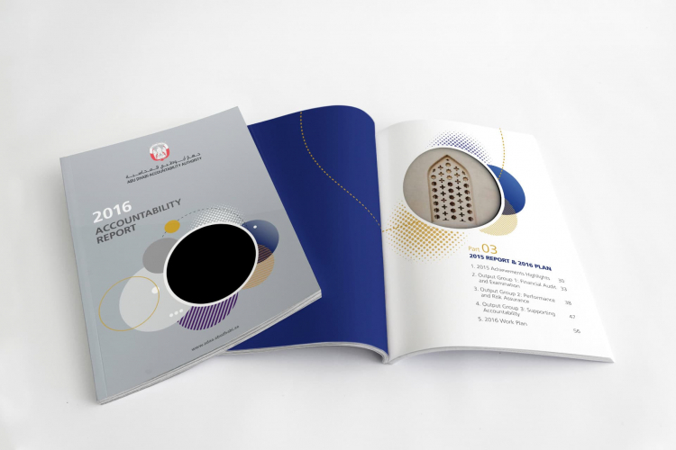 Abu Dhabi Accountability Authority screenshot 2