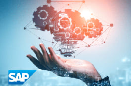 Supporting Employees with Disabilities in the UK – Automation of Invoices and Credit Notes in SAP