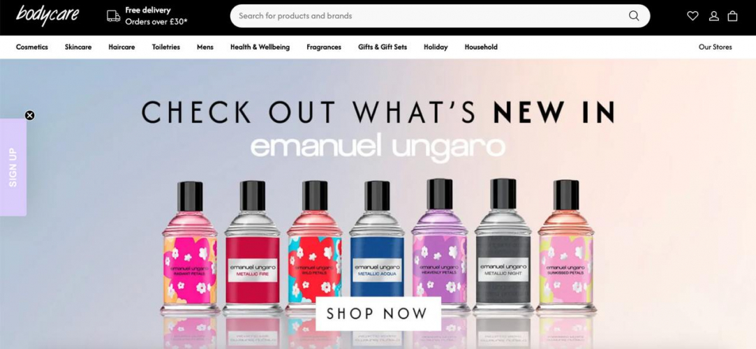 SEO Promotion of the BodyCare Website screenshot 1