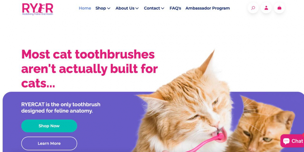 Success for RYERCAT – Boosting Conversions & Revenue screenshot 1