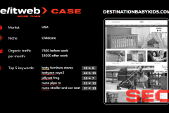 SEO Promotion of Destinationbabykids.com
