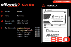 PPC, SEO, and SMM Promotion of PiShop E-commerce Shop