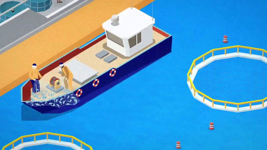 Aquarius Lawyers - Explainer Video by Motionify screenshot 1