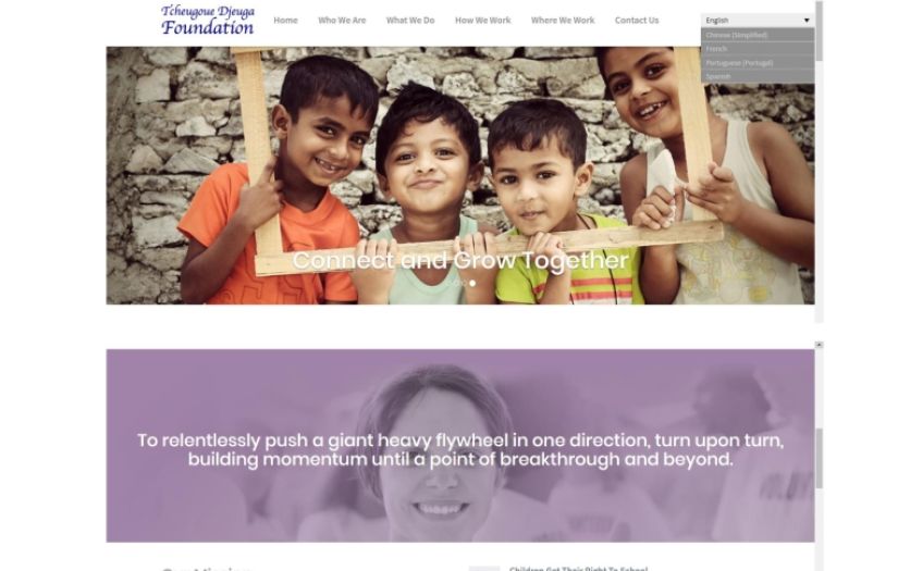 Multilingual informatics website for Tcheugoue Djeuga Foundation screenshot 1