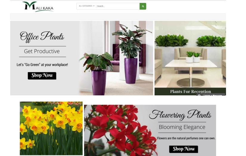 Let's Go Green with Malikaka screenshot 1