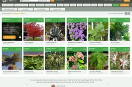 PlantFile - Botany Learning Site