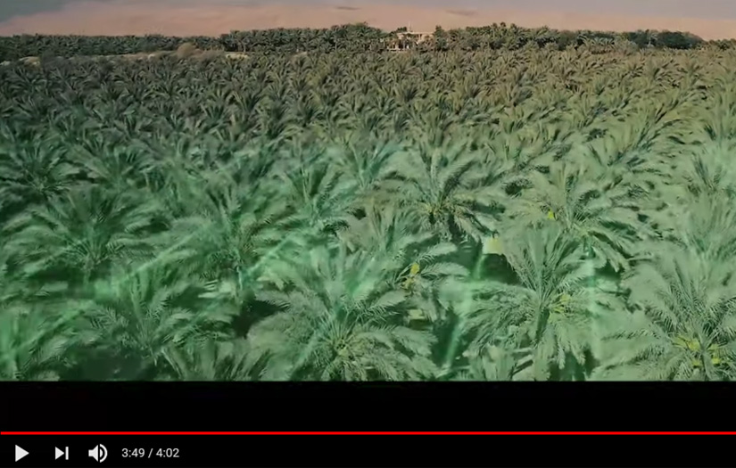 Video Production - Green Shield screenshot 1