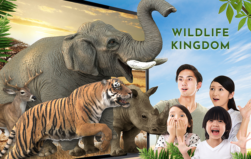 Broadcast Augmented Reality screenshot 1