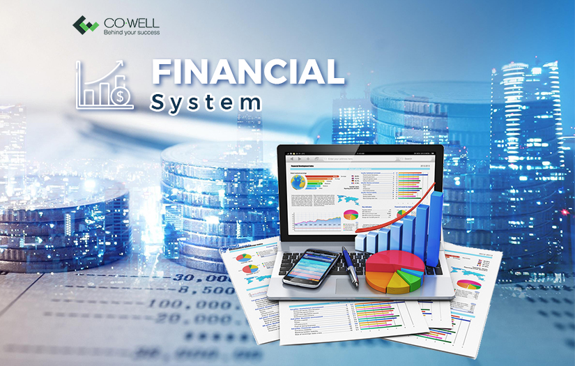 Financial system screenshot 1